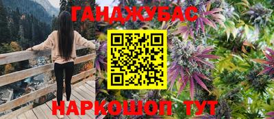 сатива Балахна