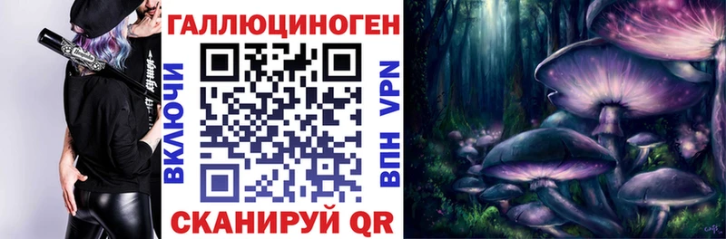 закладка Астрахань Галлюциногенные грибы GOLDEN TEACHER