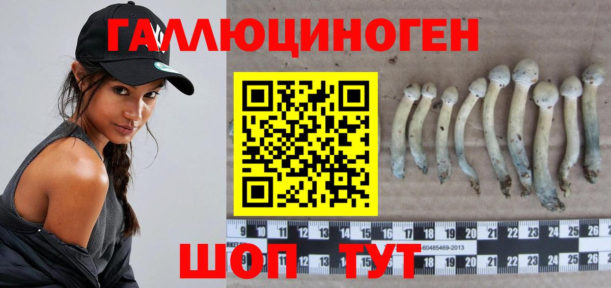 Псилоцибиновые грибы Magic Shrooms Астрахань
