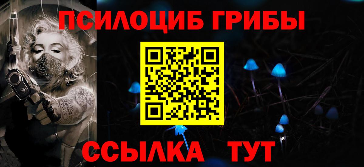 Астрахань  купить наркотики цена  Псилоцибиновые грибы ЛСД  Вход с VPN  Псилоцибиновые грибы прущие грибы 